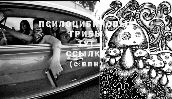 дживик Иннополис