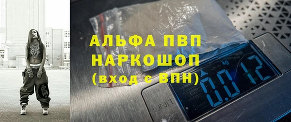 хмурый Инсар