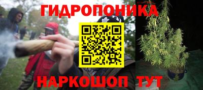 прущая мука Дубна