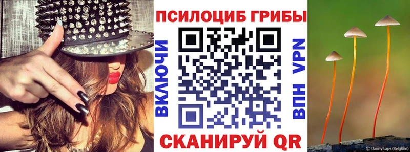 Псилоцибиновые грибы мицелий Ливны