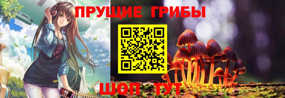 Ливны  Псилоцибиновые грибы GOLDEN TEACHER  Вход с VPN 